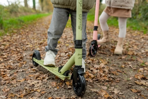 Roller mit 145 mm PU-Rädern