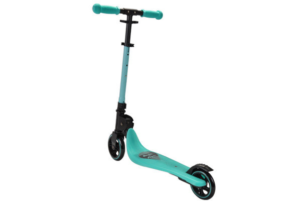 Max. Tragfähigkeit von 100 kg